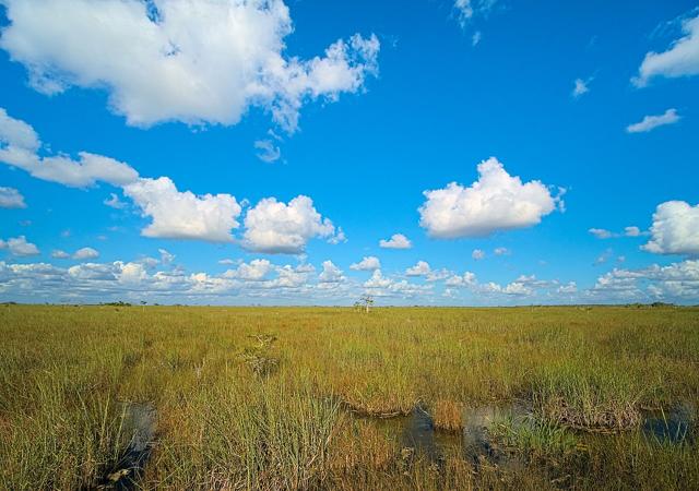 Everglades National Park